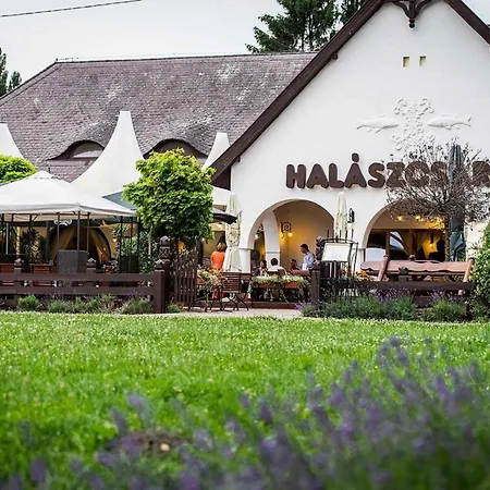 Appartement In - Balaton 54817